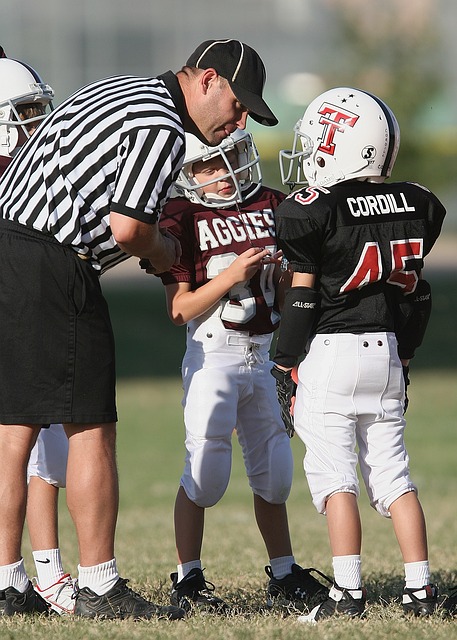 无疑是为了 无疑是为了