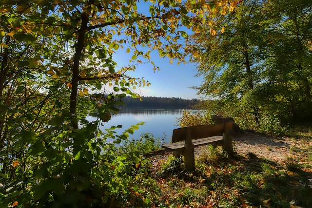 内的多维度 内的多维度