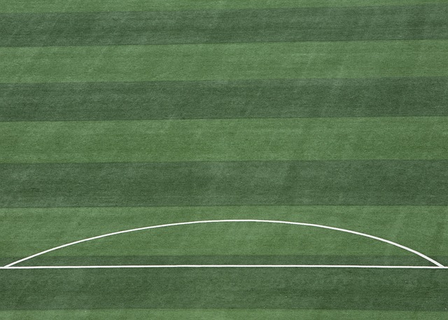 世纪中叶 世纪中叶