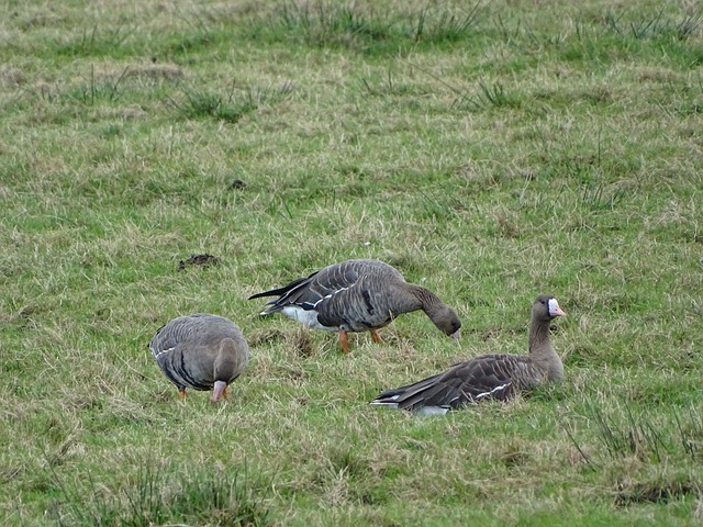 无限潜力和 无限潜力和