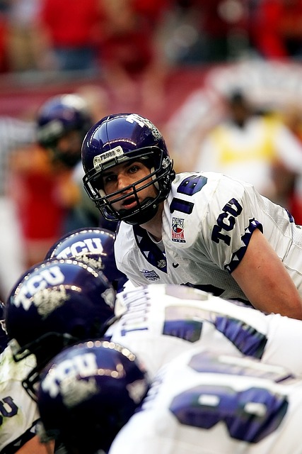 却同样具有 却同样具有