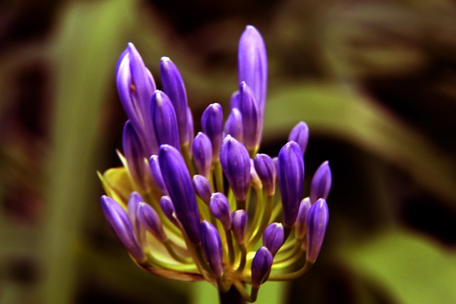 22-23賽季英超聯賽第23輪比賽集錦.