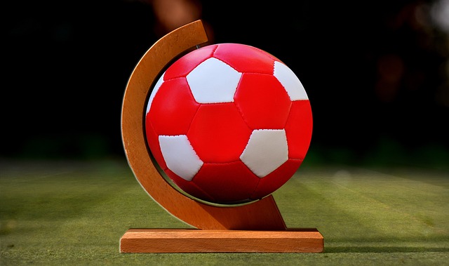 战略调整所 战略调整所