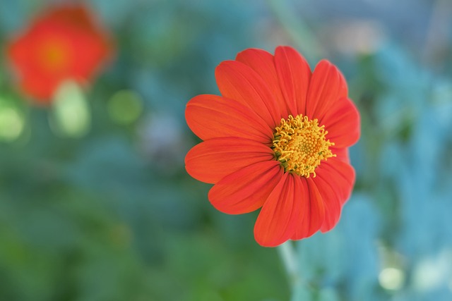 更有效地利 更有效地利