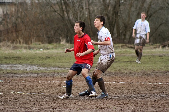 德里的主场 德里的主场