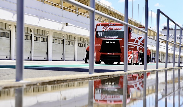 中的一面旗 中的一面旗