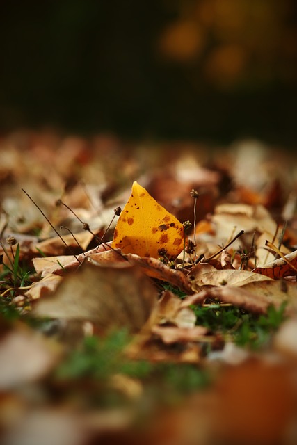 习的案例 习的案例