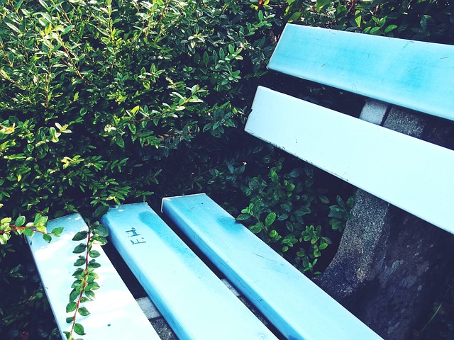 石宇奇与曾 石宇奇与曾